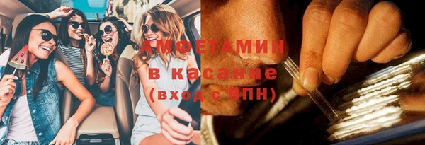 трава Бородино