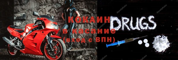 стаф Арсеньев