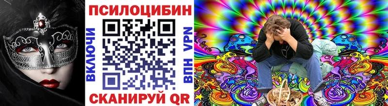 даркнет сайт  Заозёрск  блэк спрут tor  Псилоцибиновые грибы MAGIC MUSHROOMS 
